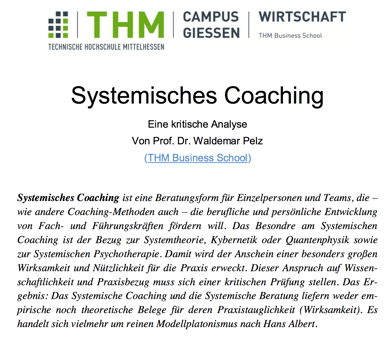 systemsiches-coaching-kritische-analyse